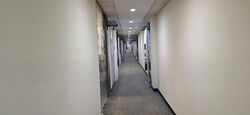 Lucky Plaza (D9), Retail #553432771